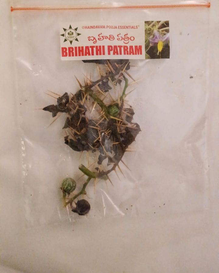 Brihati Patram (వాకుడు, ములక) leaves in a Haindavam pack