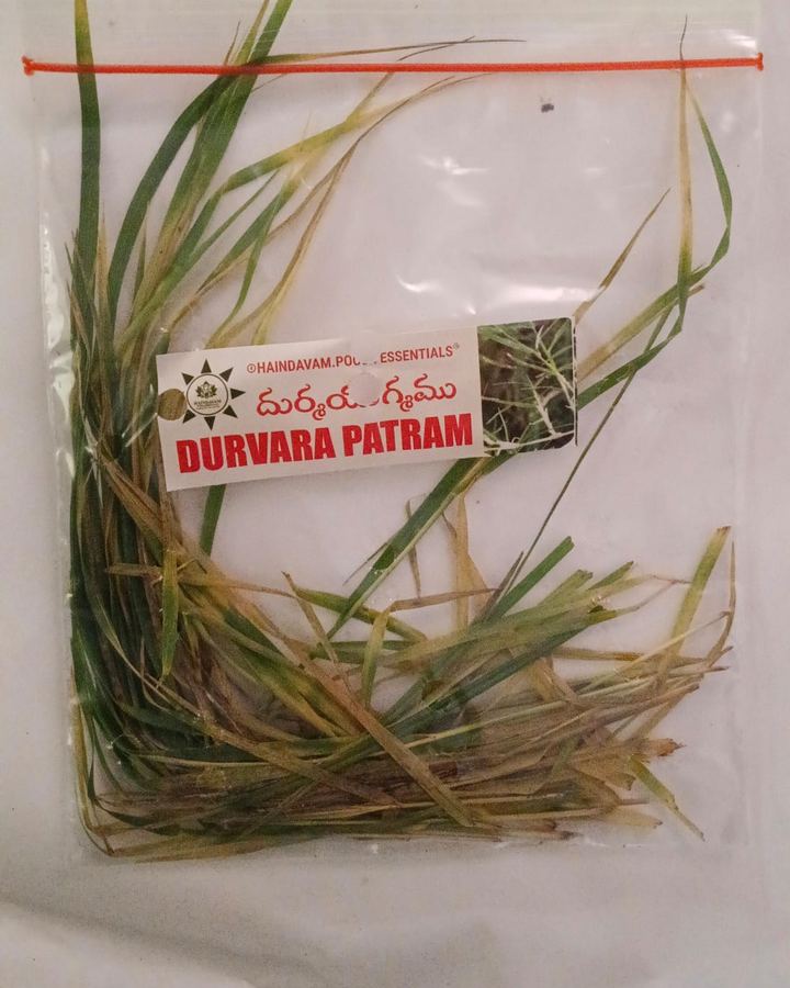 Durva Patram (గరిక) leaves in a Haindavam pack