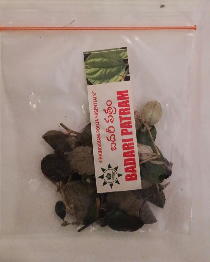Badari Patram (రేగు) leaves in a Haindavam pack