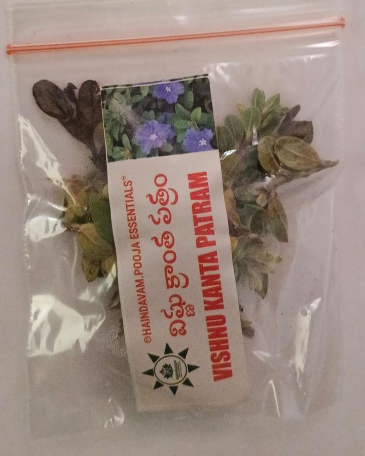 Vishnukranta Patram (విష్ణుక్రాంత) leaves in a Haindavam pack