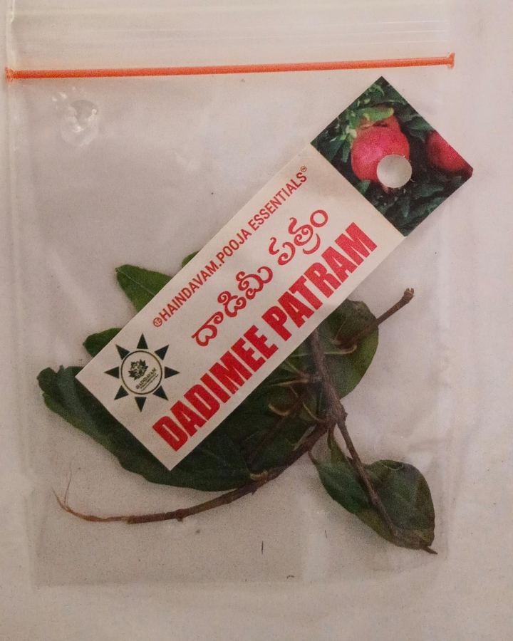 Dadimi Patram (దానిమ్మ) leaves in a Haindavam pack