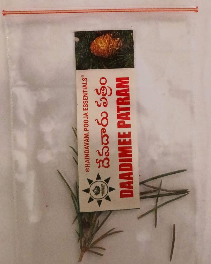 Devadaru Patram (దేవదారు) leaves in a Haindavam pack