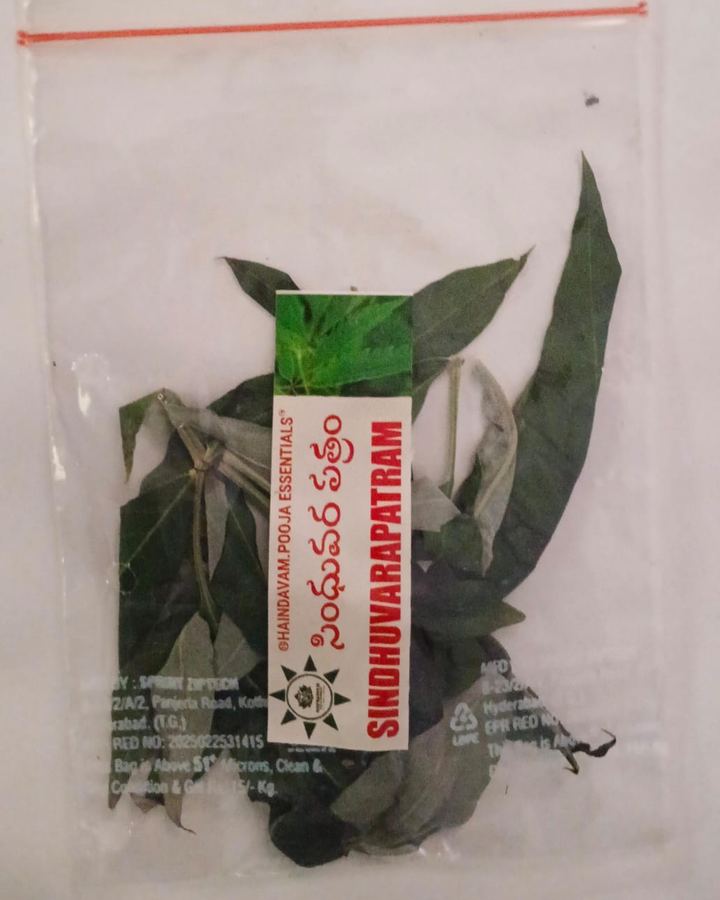 Sindhuvara Patram (వావిలి) leaves in a Haindavam pack