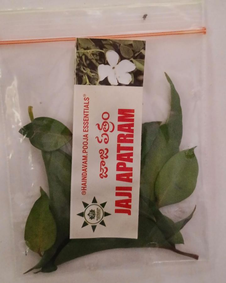 Jaji Patram (జాజి) leaves in a Haindavam pack