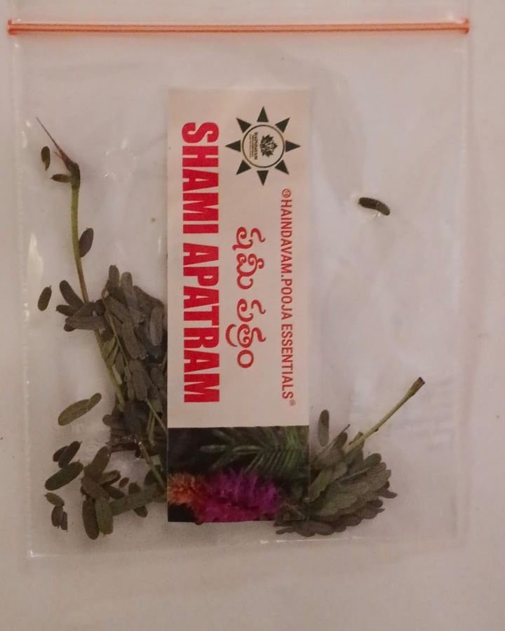 Shami Patram (జమ్మి) leaves in a Haindavam pack