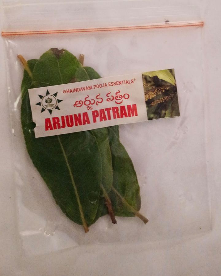 Arjuna Patram (మద్ది) leaves in a Haindavam pack